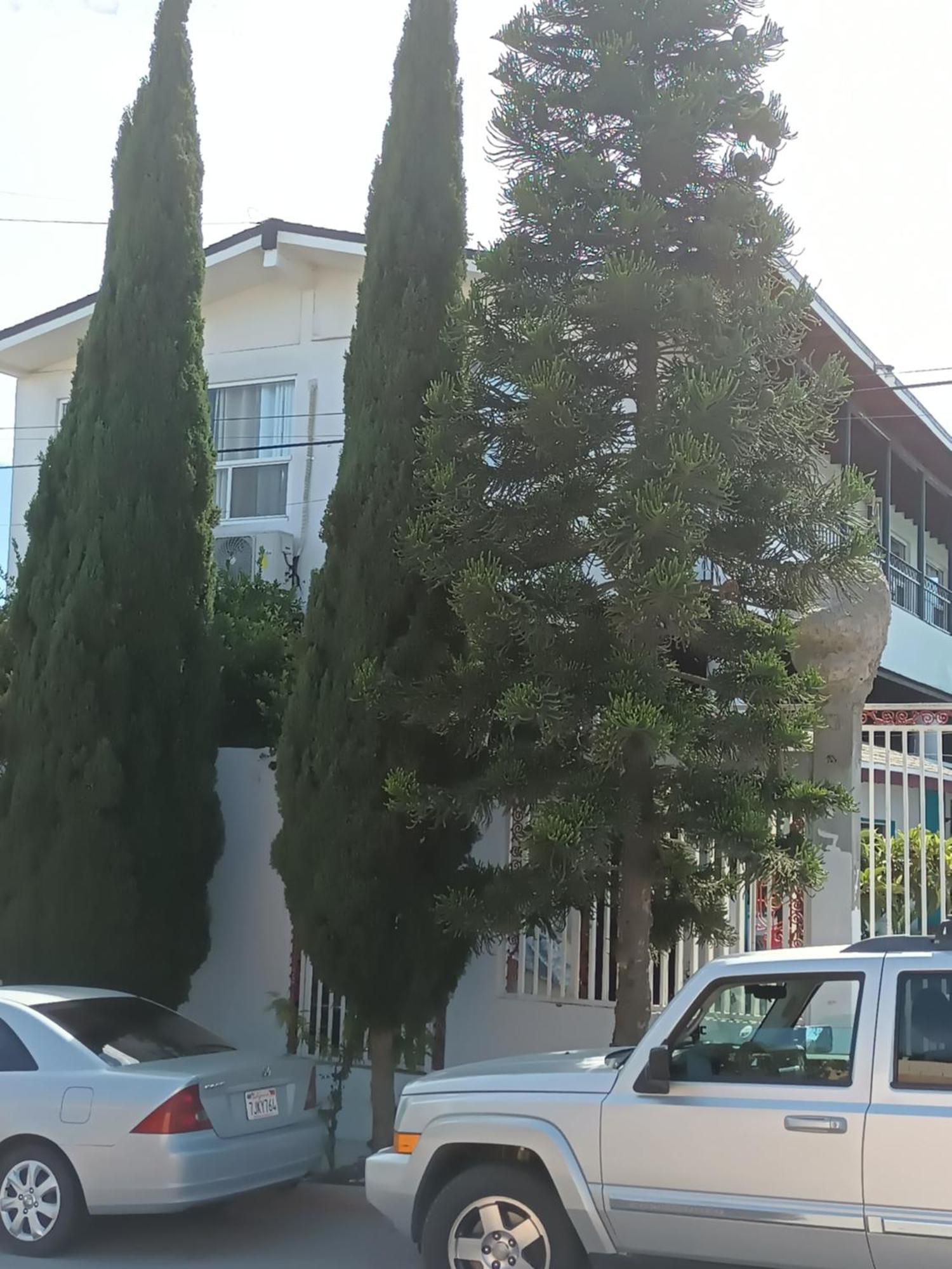 Apartamentos Rosarito.!! Con Vista Al Mar ! Zewnętrze zdjęcie