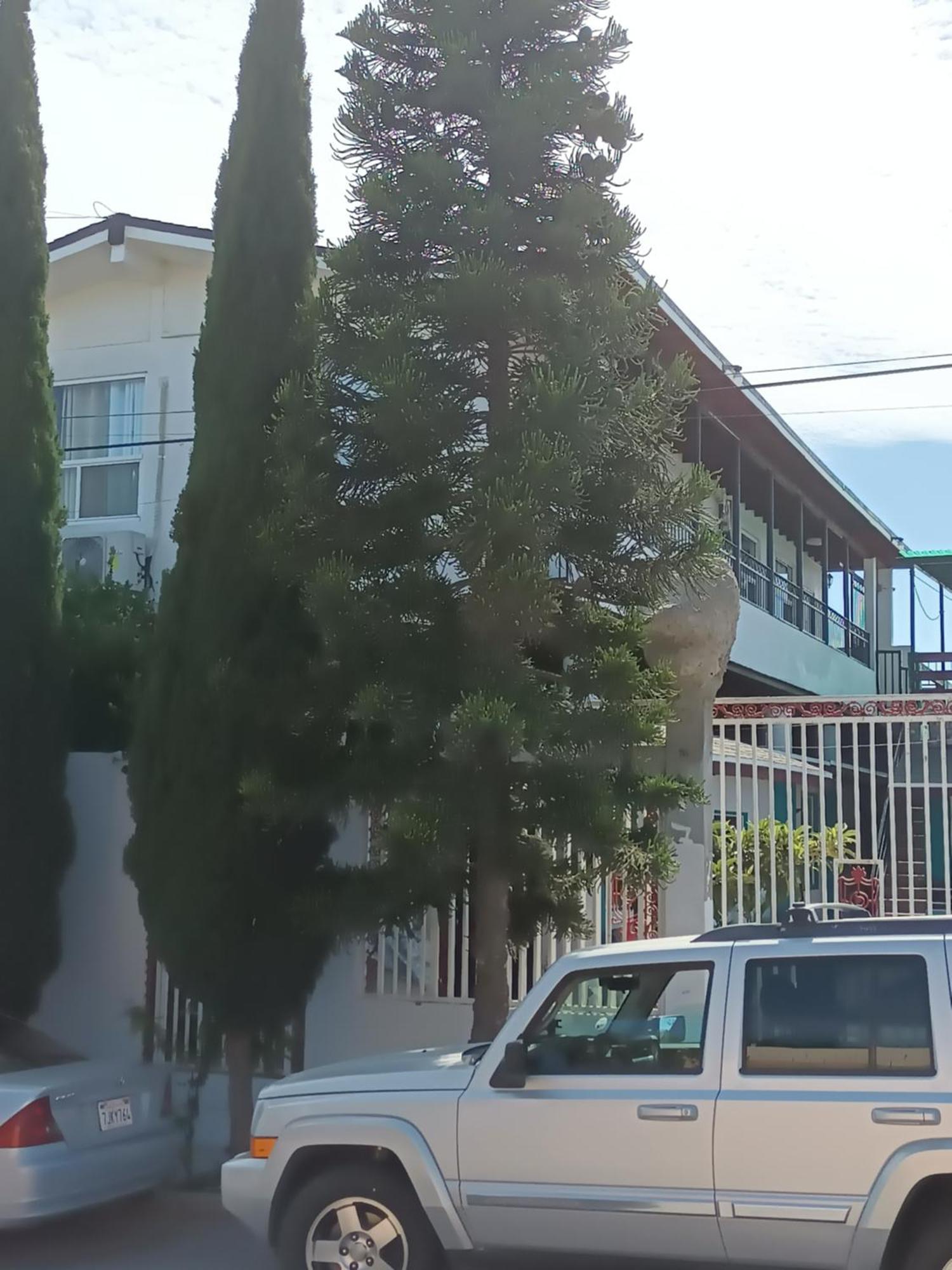 Apartamentos Rosarito.!! Con Vista Al Mar ! Zewnętrze zdjęcie
